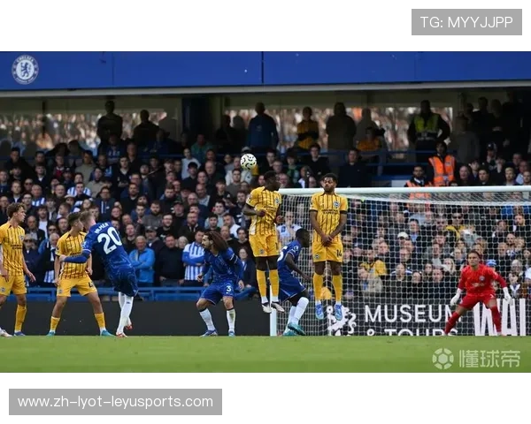 英超球队布莱顿霍夫的历史与现状